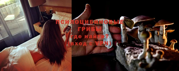 MDMA Няндома