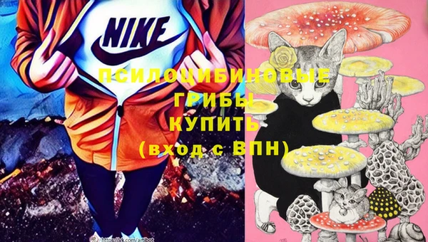 герыч Новодвинск