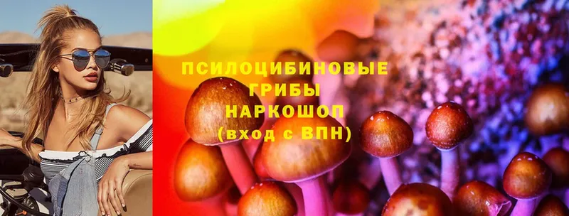 купить закладку  Касли  Псилоцибиновые грибы MAGIC MUSHROOMS 